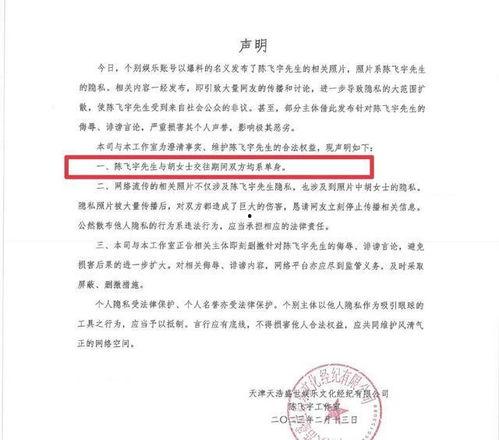 陈飞爆料视频大全下载安装,揭秘幕后真相，带你走进事件核心
